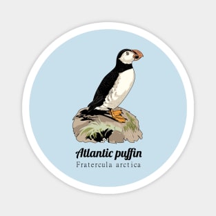 Atlantic puffin Magnet